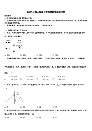 2024届山东省淄博市临淄区金山中学数学七下期末经典模拟试题含解析.doc