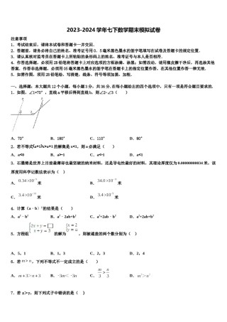 2024届山东省滕州市张汪中学数学七下期末复习检测试题含解析.doc