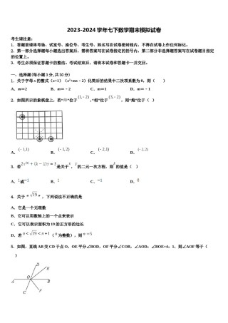 2024届山东省滨州市名校七年级数学第二学期期末检测模拟试题含解析.doc