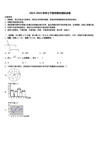 2024届山东省青岛市集团校联考七年级数学第二学期期末教学质量检测试题含解析.doc