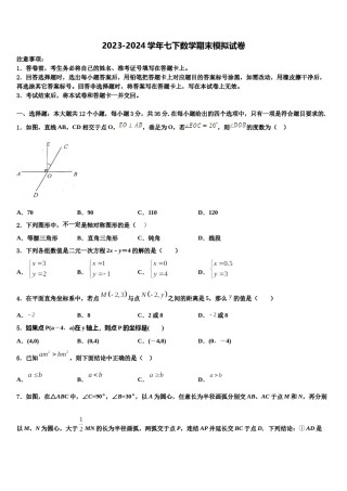 2024届山东省青岛西海岸新区第四中学七下数学期末考试模拟试题含解析.doc