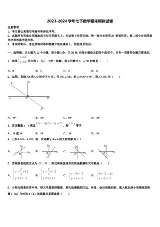 2024届山东省高密市银鹰文昌中学数学七下期末监测模拟试题含解析.doc