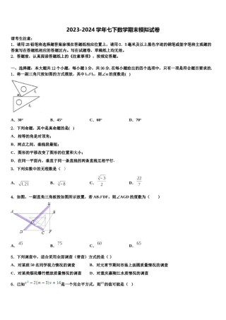 2024届广东省佛山南海区四校联考七年级数学第二学期期末复习检测试题含解析.doc