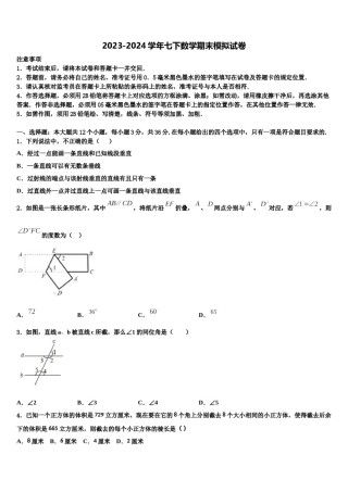 2024届广东省华南师范大第二附属中学数学七下期末综合测试试题含解析.doc