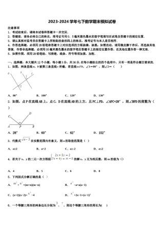 2024届广东省华师附中数学七下期末联考模拟试题含解析.doc