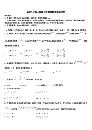 2024届广东省广州华南师范大第二附属中学七下数学期末学业水平测试模拟试题含解析.doc