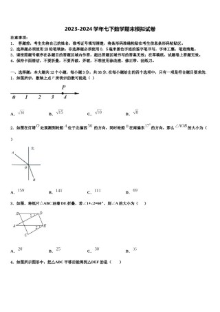 2024届广东省广州大附中七年级数学第二学期期末经典试题含解析.doc