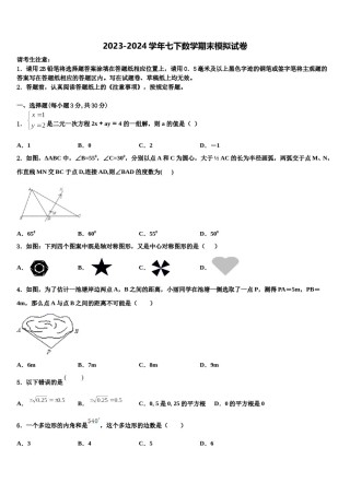 2024届广东省普宁市华南实验学校七下数学期末统考试题含解析.doc