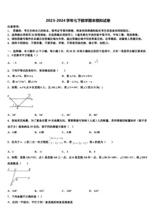 2024届广东省梅州市梅县七下数学期末教学质量检测模拟试题含解析.doc