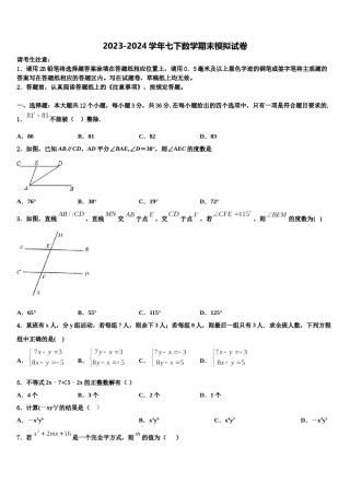 2024届广东省河源市正德中学七下数学期末综合测试试题含解析.doc