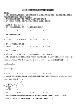 2024届广东省深圳市南山区实验教育集团数学七下期末质量跟踪监视模拟试题含解析.doc