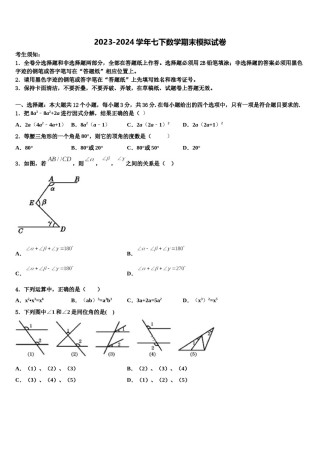 2024届广东省深圳市宝安区数学七下期末综合测试模拟试题含解析.doc