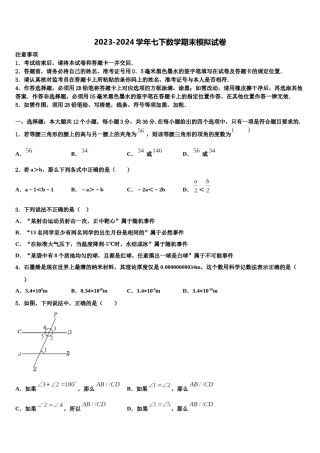 2024届广东省深圳市百合外国语学校七年级数学第二学期期末综合测试模拟试题含解析.doc