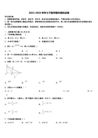 2024届广东省深圳市高峰学校数学七下期末预测试题含解析.doc