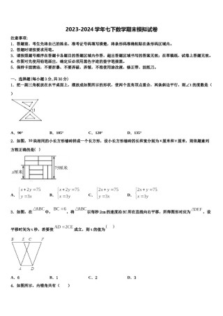 2024届广东省深圳市龙华区新华中学数学七下期末综合测试试题含解析.doc