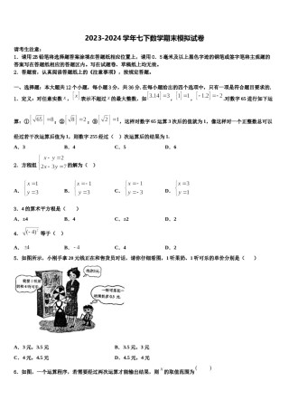 2024届广东省湛江市第二十二中学数学七下期末教学质量检测模拟试题含解析.doc