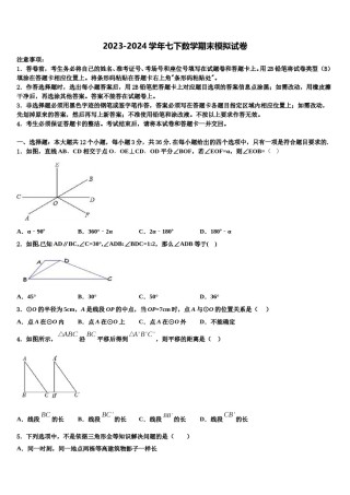 2024届广西博白县七下数学期末复习检测模拟试题含解析.doc