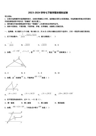 2024届广西壮族自治区南宁市广西大附属中学七下数学期末调研试题含解析.doc