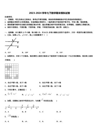 2024届广西壮族自治区南宁市广西大附属中学七年级数学第二学期期末检测试题含解析.doc