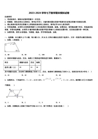 2024届广西省防城港市名校七年级数学第二学期期末综合测试模拟试题含解析.doc