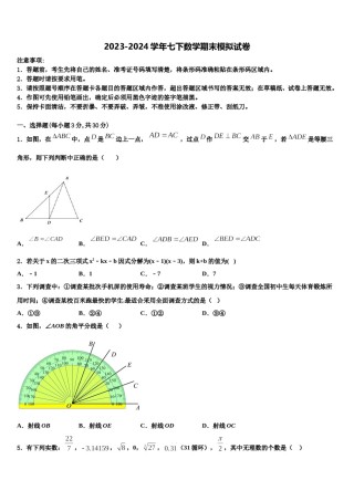 2024届成都市青羊区七下数学期末复习检测模拟试题含解析.doc