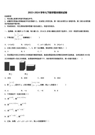 2024届成都市高新区新城学校七下数学期末学业水平测试模拟试题含解析.doc