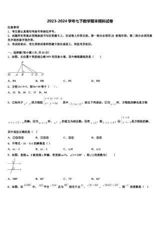2024届拉萨市重点中学七年级数学第二学期期末质量检测试题含解析.doc
