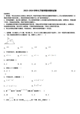 2024届新乡市重点中学数学七下期末检测试题含解析.doc