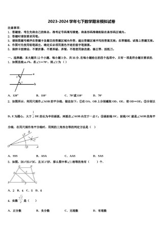 2024届江苏省南京市南京外国语学校七下数学期末考试模拟试题含解析.doc