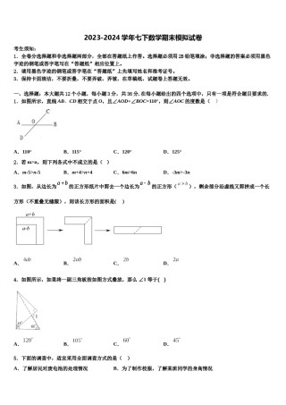 2024届江苏省南京市南京师范大附属中学七年级数学第二学期期末统考模拟试题含解析.doc