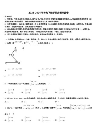 2024届江苏省南京溧水区七下数学期末统考模拟试题含解析.doc