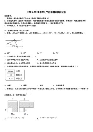 2024届江苏省泰兴市分界镇初级中学七下数学期末调研模拟试题含解析.doc