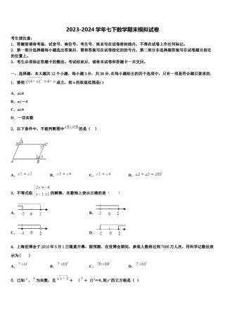 2024届江苏省盐城市大丰区七年级数学第二学期期末检测试题含解析.doc