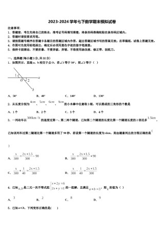 2024届江西省吉安八中学数学七下期末复习检测模拟试题含解析.doc