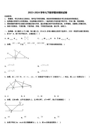 2024届江西省吉安市永新县七年级数学第二学期期末监测试题含解析.doc