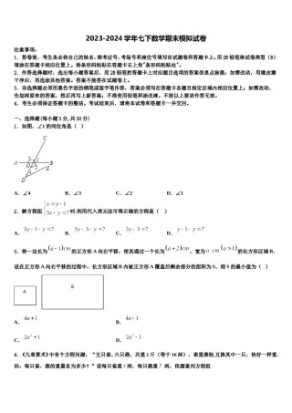 2024届河北省石家庄市43中学七下数学期末统考试题含解析.doc