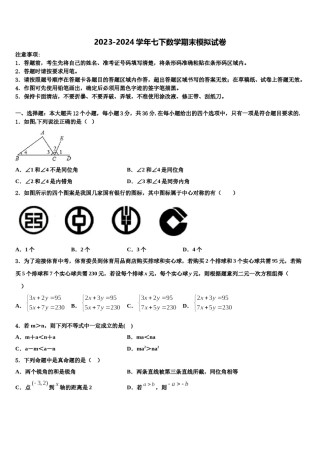 2024届河北省石家庄市高邑县数学七下期末质量跟踪监视试题含解析.doc