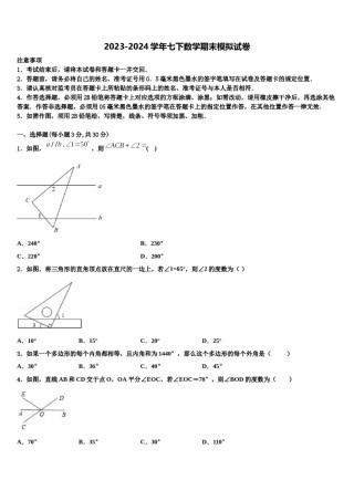 2024届河南省桐柏县数学七下期末调研模拟试题含解析.doc