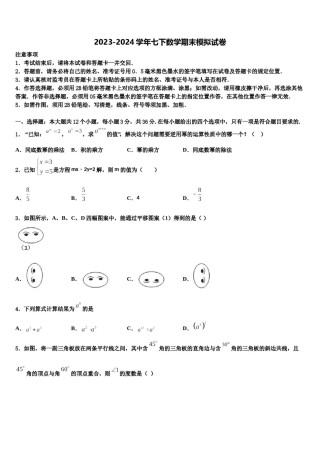 2024届河南省洛阳市洛龙区第一实验学校七年级数学第二学期期末质量跟踪监视模拟试题含解析.doc