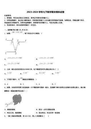 2024届河南省漯河临颍县联考数学七下期末综合测试试题含解析.doc