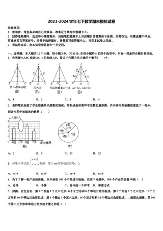 2024届河南省郑州枫杨外国语学校数学七下期末质量跟踪监视试题含解析.doc