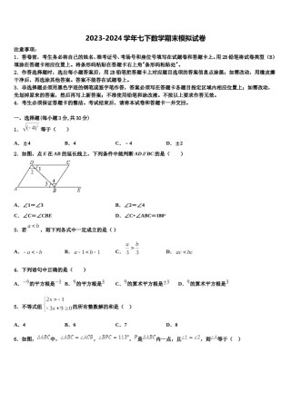 2024届河南省长葛市第一初级中学数学七下期末经典试题含解析.doc