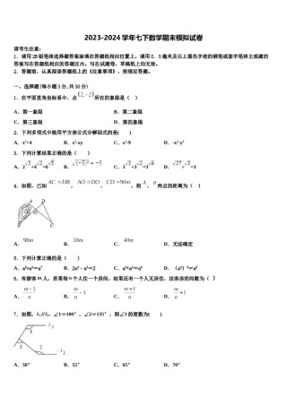 2024届河南省驻马店泌阳县联考七下数学期末统考试题含解析.doc