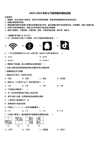 2024届泰安市重点中学七下数学期末联考模拟试题含解析.doc