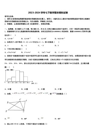 2024届浙江省台州市台州市白云学校七下数学期末调研模拟试题含解析.doc