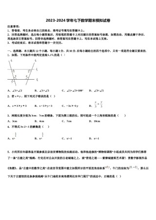2024届浙江省杭州市西湖区七下数学期末调研试题含解析.doc