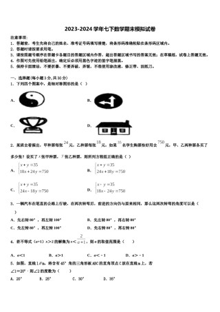 2024届浙江省温州市民办数学七下期末达标检测模拟试题含解析.doc