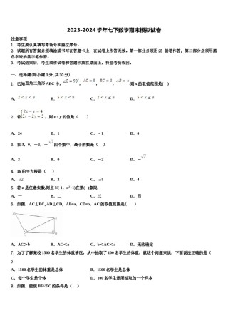 2024届海南省海口市九中学海甸分校七年级数学第二学期期末学业质量监测模拟试题含解析.doc