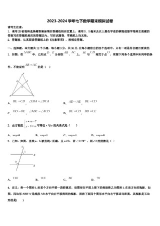 2024届海南省海口市长流实验学校数学七下期末调研试题含解析.doc