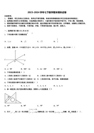 2024届海南省琼中学县七年级数学第二学期期末复习检测模拟试题含解析.doc